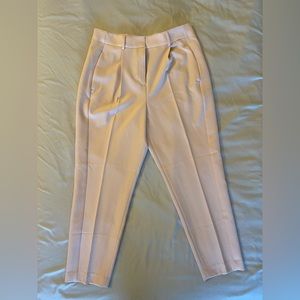 Express Dress Pants
